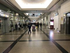 -厦门高崎国际机场-T3航站楼