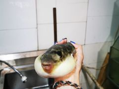 -瀏河老街土菜館(浏河店)