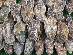 牡蛎-渔民新村(番禺总店)