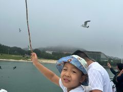 -海驴岛(荣成市)