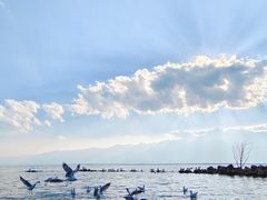 -大理洱海