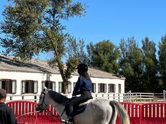 -北京群众马术培训基地