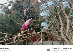 -大连理工大学(凌水校区)