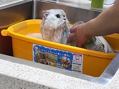 -喜洋洋宠物医院(震川路总店)