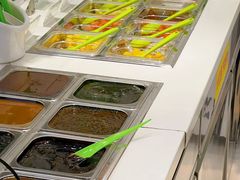-Salud撒露欧洲冻酸奶(蓝色港湾店)