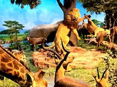 -国家自然博物馆