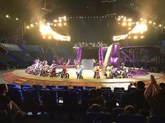 -珠海横琴长隆《卡卡虎奇遇记》