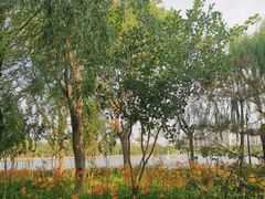 -廊坊文化艺术中心