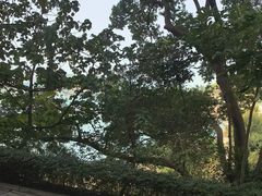 -香港帝景酒店