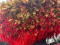 -狼山风景名胜区