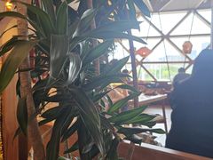 -蛙小侠(珠海华发商都店)