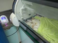 -康乐宝动物医院