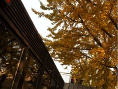 iphone_upload_pic-Malena玛莲娜