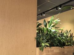 -麦当劳(祈年大街店)