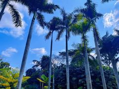 -中国科学院西双版纳热带植物园