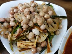 -新疆大盘鸡·十八年老店