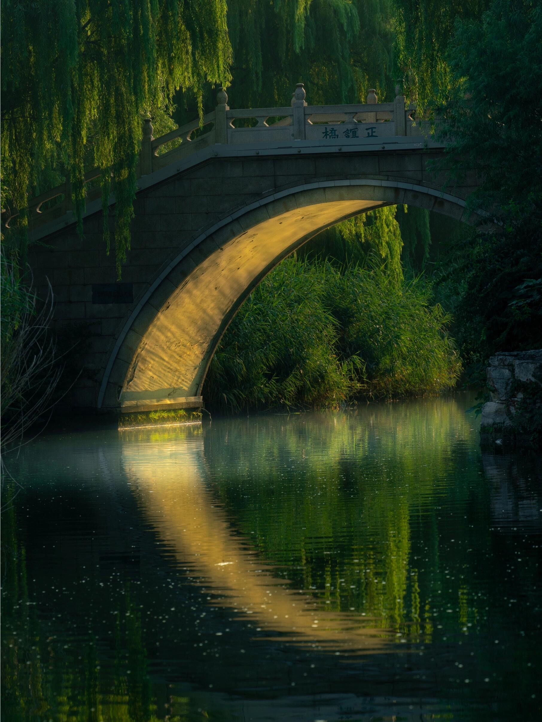 大明湖不仅有夏雨荷03还有人挤人的超然楼97