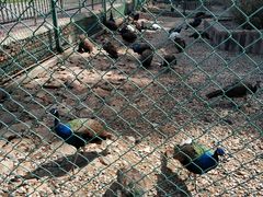 -南京金牛湖风景区