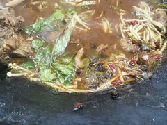 -皖北巫氏三胖地锅鸡(长淮总店)