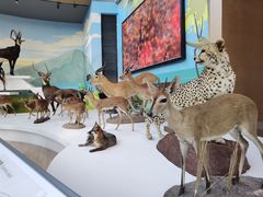 -陕西自然博物馆