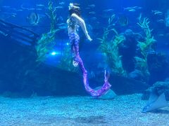 -南昌海洋公园