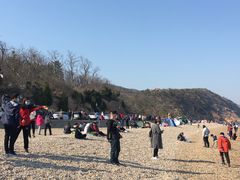 -棒棰岛宾馆景区
