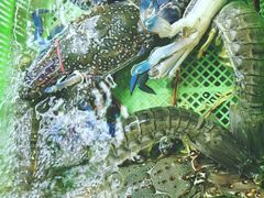 -班赞海鲜市场