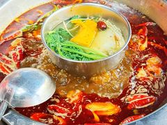 -金鼎雪山牦牛杂火锅(理县总店)