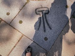 -趵突泉景区