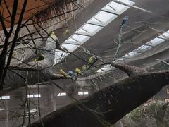 -南宫五洲植物乐园