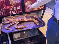 -忆江南·临江鱼馆