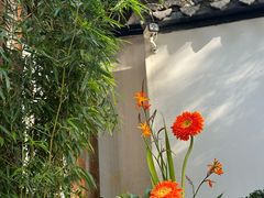-鲤院·新中式美学·庭院餐厅(夫子庙店)