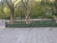 -足本纪·足道 SPA 简餐 小吃(文三西路店)