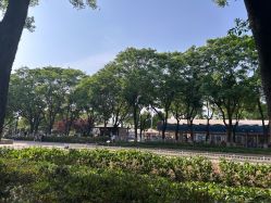 -玄武湖景区-情侣园游乐场