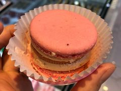 -麦雪尔甜品·生日蛋糕(新街口旗舰店)