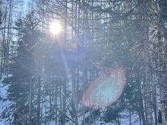 -峡谷浮石林景区