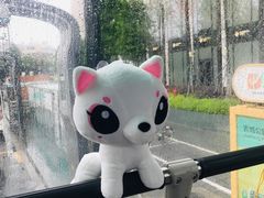 -BUS TOUR观光巴士