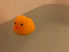 -上海浦东华美达大酒店