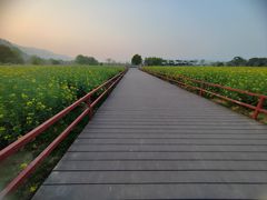 -径山花海
