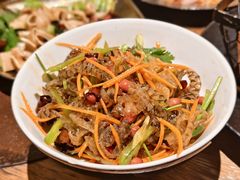 -野人部落(荷兰村店)