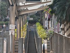 -香港大学