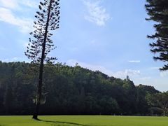 -深圳仙湖植物园