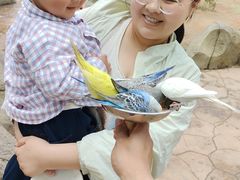 -北戴河集发农业梦想王国