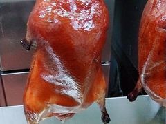 京气烤鸭-京氣春饼(机场店)
