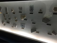 iphone_upload_pic-上海昆虫博物馆