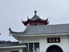 -梧桐山风景名胜区