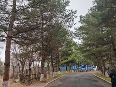 -帽儿山国家森林公园