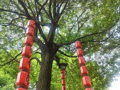 -江阴君山寺