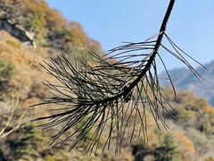 -抱龙峪