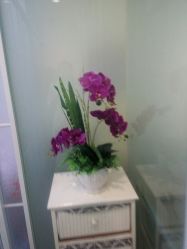 -薇兰专业脱毛连锁机构